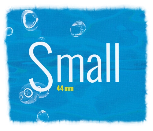 Kinzel-small-t