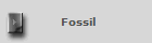 Fossil